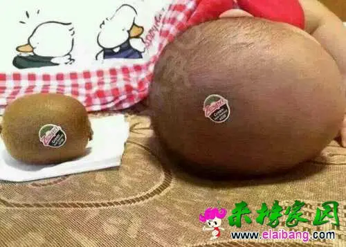 1436775362459.webp