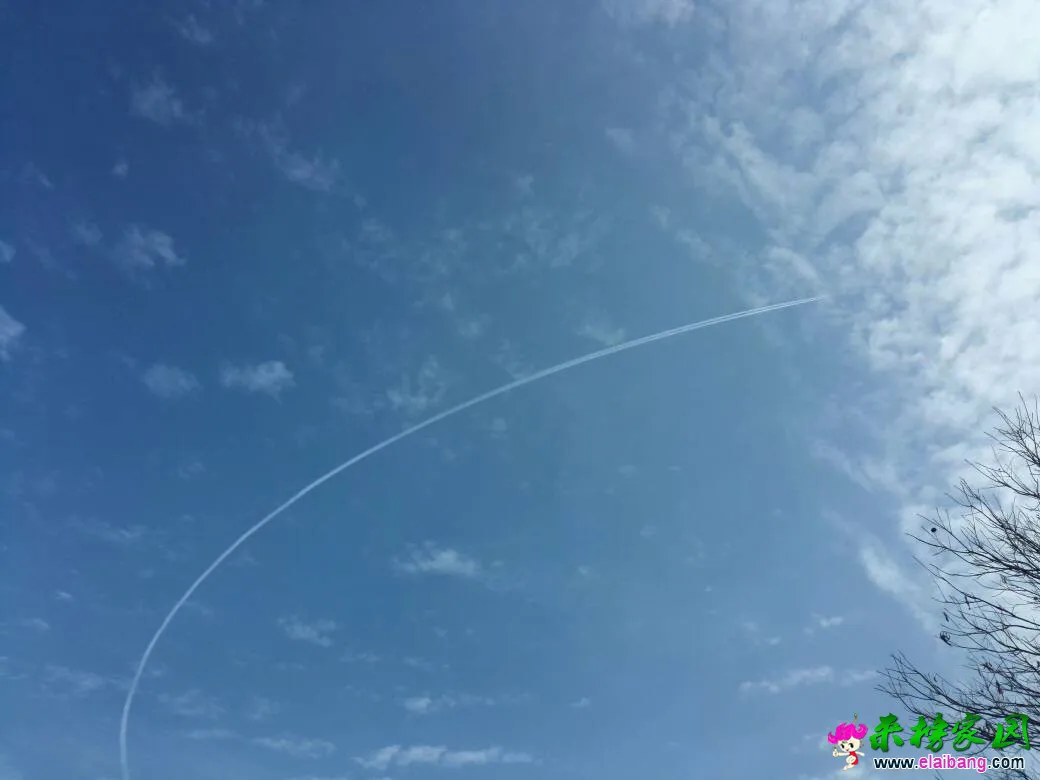 141033uws8sashaidr8ksp.webp