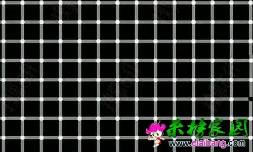 160705e5y8q3ckj8qo48jd.webp