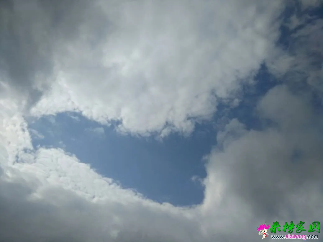 121849xle00wfktzpllj82.webp