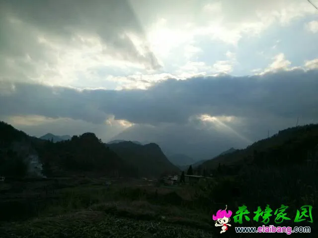 164705mu5sb69quzwhqubq.webp