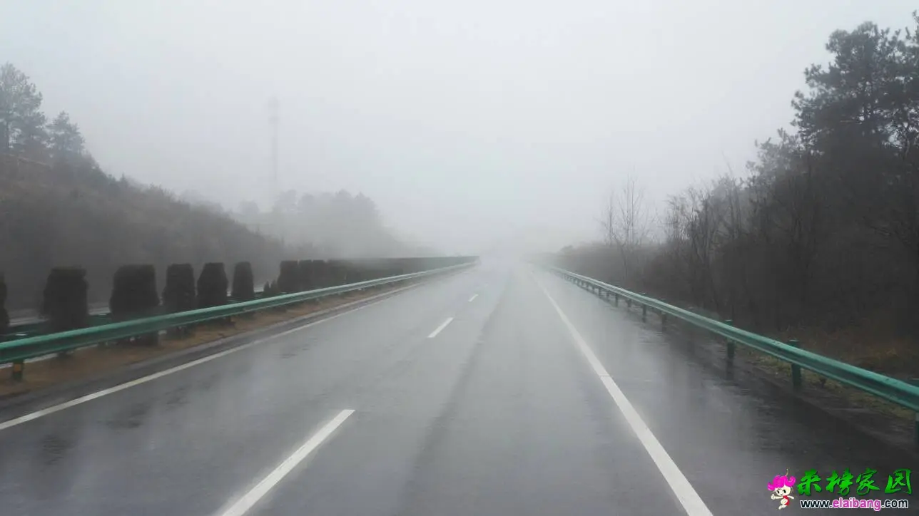 111938mrlu1555a69uzhyf.webp