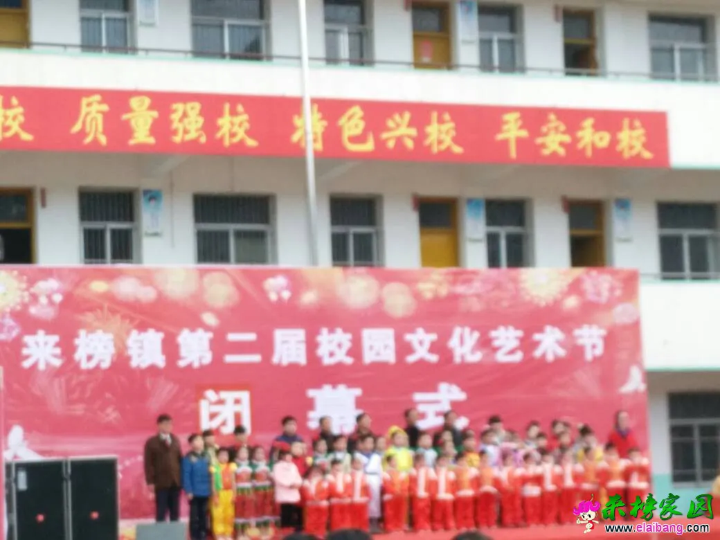 171142leaytektdall43ee.webp