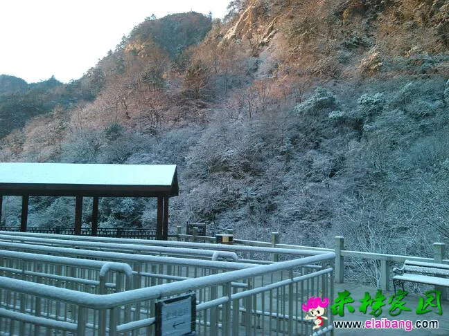 084136b4wigc8gt45zlii8.webp