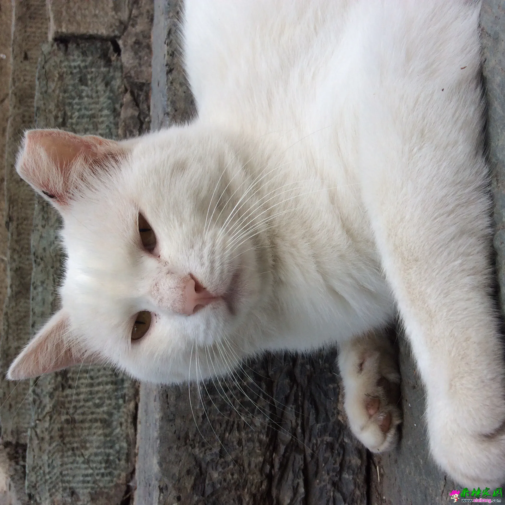 image.webp