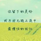 205348p7rm28m8a6k8v701.webp