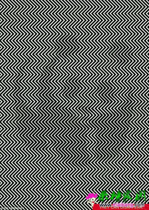 081258y56y6f229oz7ryeg.webp