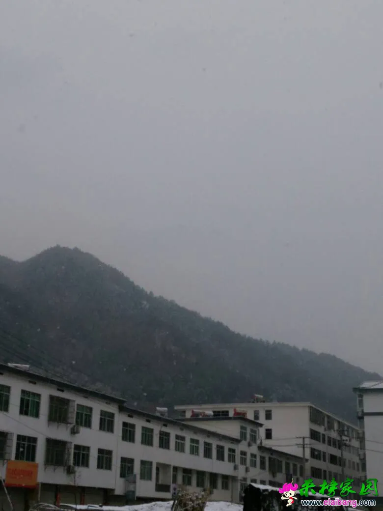 092302baccwt000skt0ywi.webp