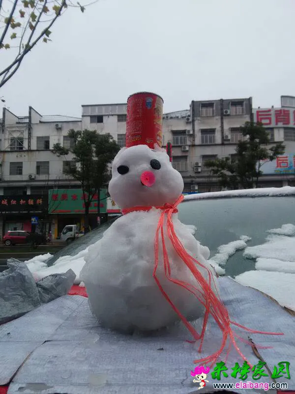 203827ylxclx6xx65lxj64.webp