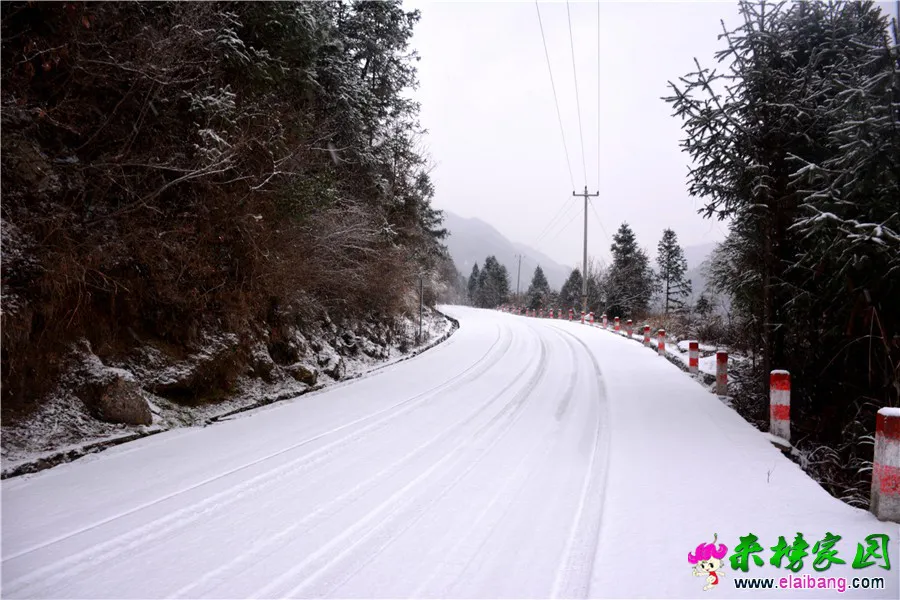 DSC_9435.webp