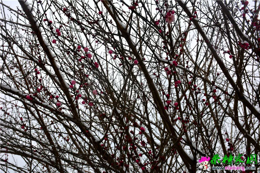 DSC_9466.webp