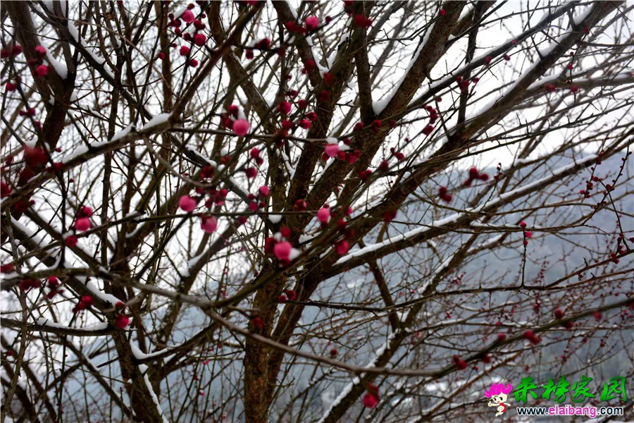 DSC_9467.webp