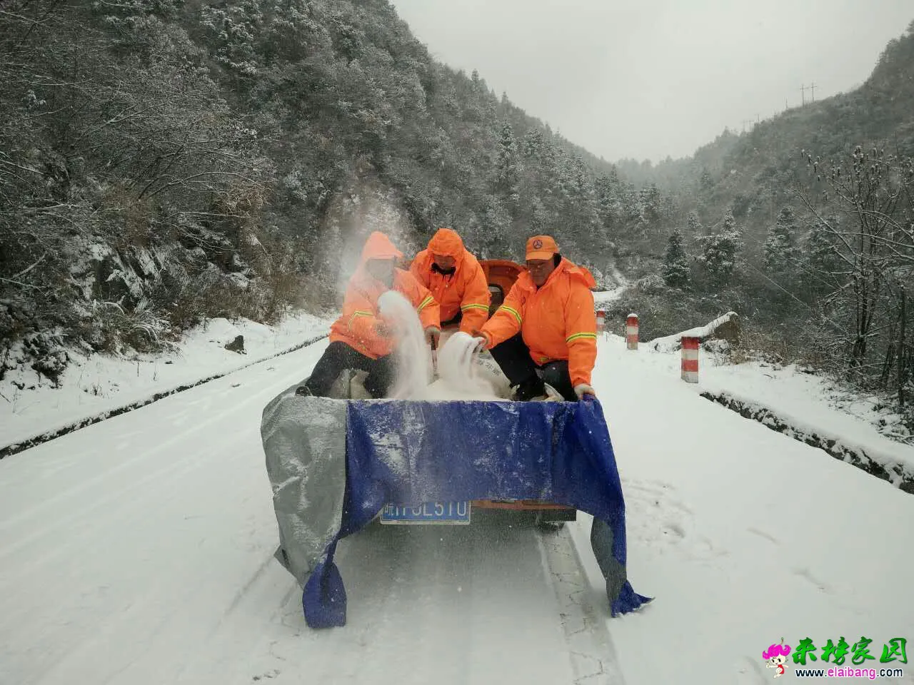 QQ图片20160122140150.webp