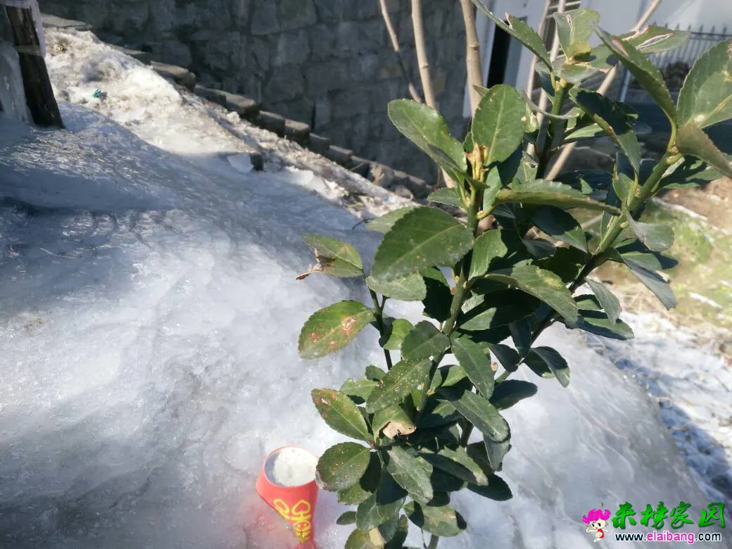 143741vqyzrziq4bloifeb.webp