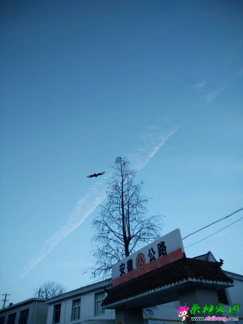 124054u2bretzxerx2e30j.webp