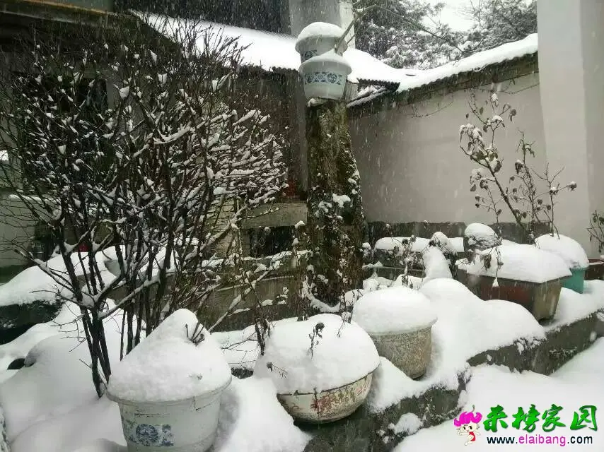 165610zll0mmx6ac1mhz6l.webp