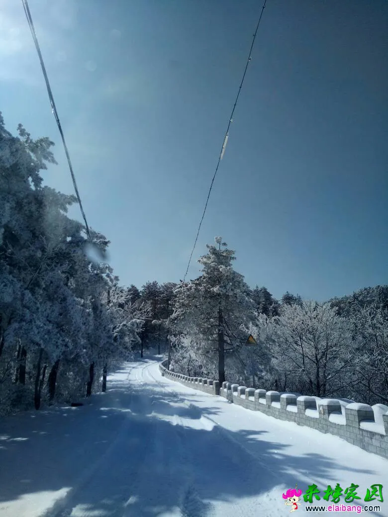 100402qfzrddkl8l8jdlhj.webp