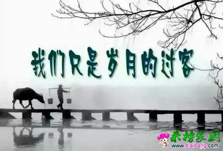 075831km2yml355y53iakl.webp
