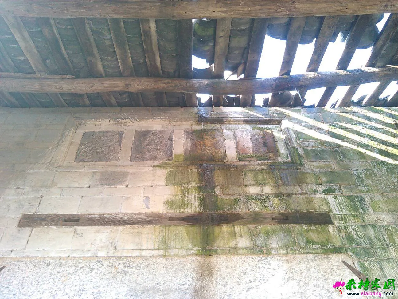 140514pq6ft3e9285jzde0.webp