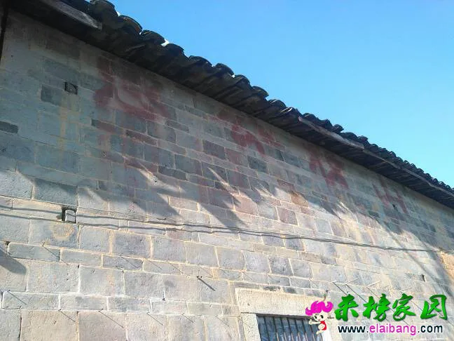 140515i5jophh6sf7pzgj9.webp