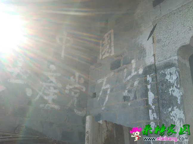 140515ipoyakc3kop3993a.webp