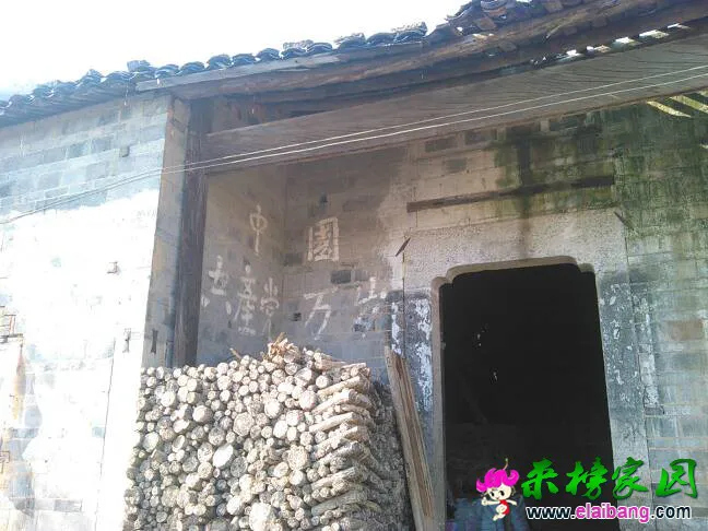 140515wsf86bp55z18wwzz.webp