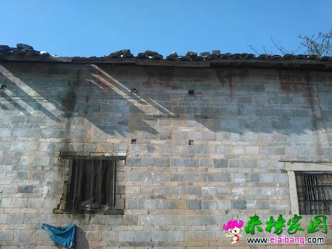 140515zt24fgxfmx8lgkfm.webp