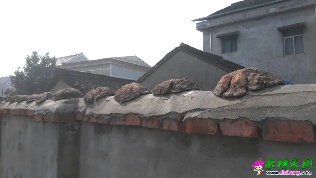 121502qo0xp73xxos3l576.webp