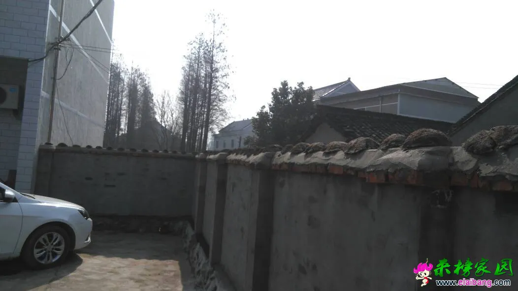 121503ahonbz99zbcfnn52.webp
