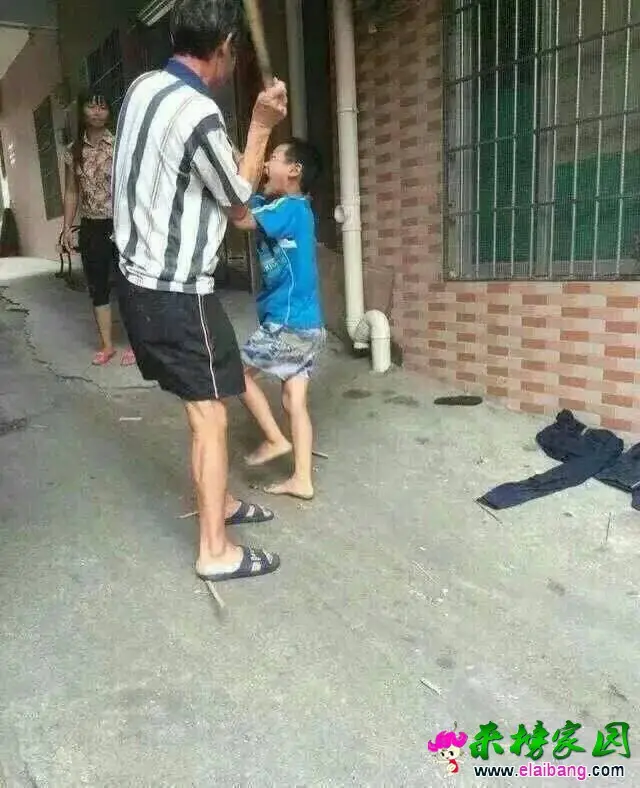 225029xpgjpyppuxpxygxj.webp