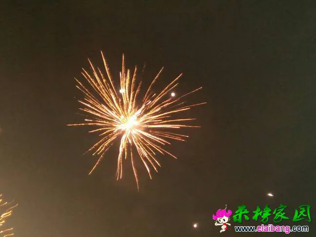 000837va515ji594qdj4d5.webp