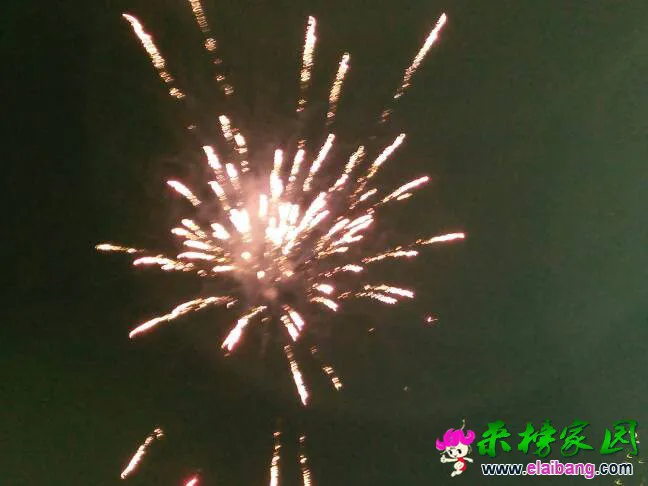 000838awgsgz55sp5dnp5s.webp