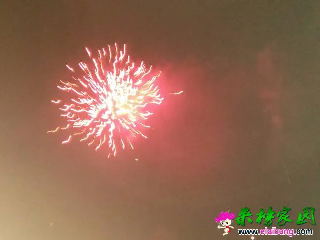 000838h37w40442u40043w.webp