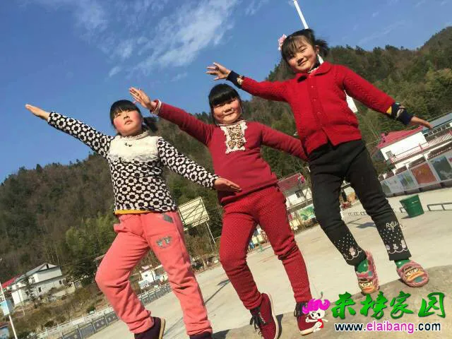 105116po61tb8od46pu6vt.webp