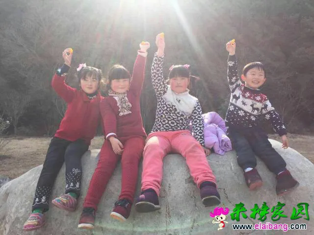 105116t6ls3cwdmleozllh.webp
