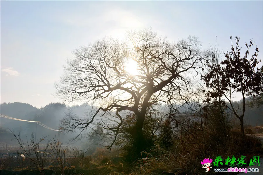 DSC_9880.webp