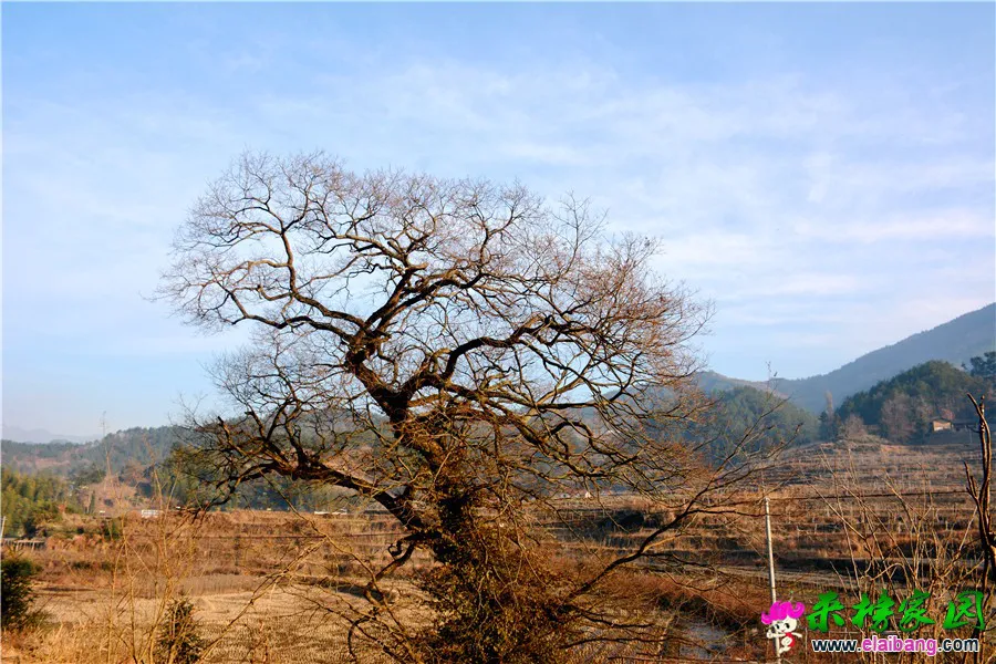 DSC_9879.webp