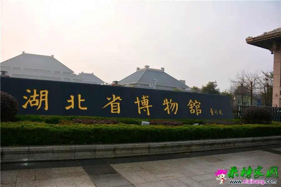 DSC_0106.webp