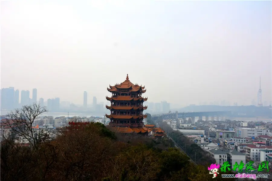 DSC_9954.webp
