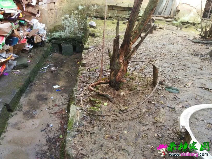 100346oj1189lu40anjgj6.webp