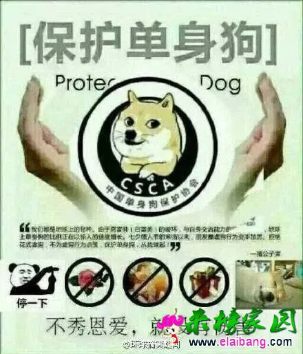 QQ图片20160214102042.webp