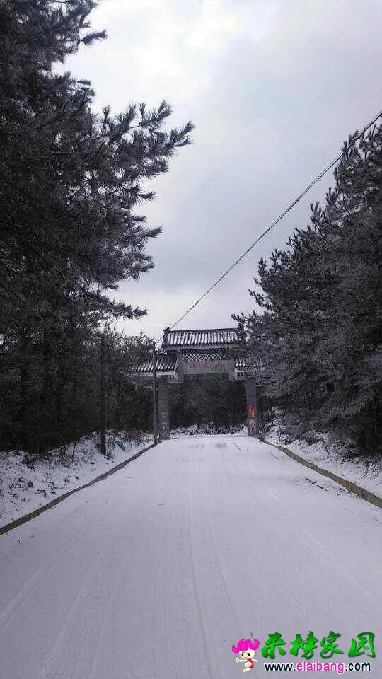 134946yxihpngmmx6ph3dw.webp