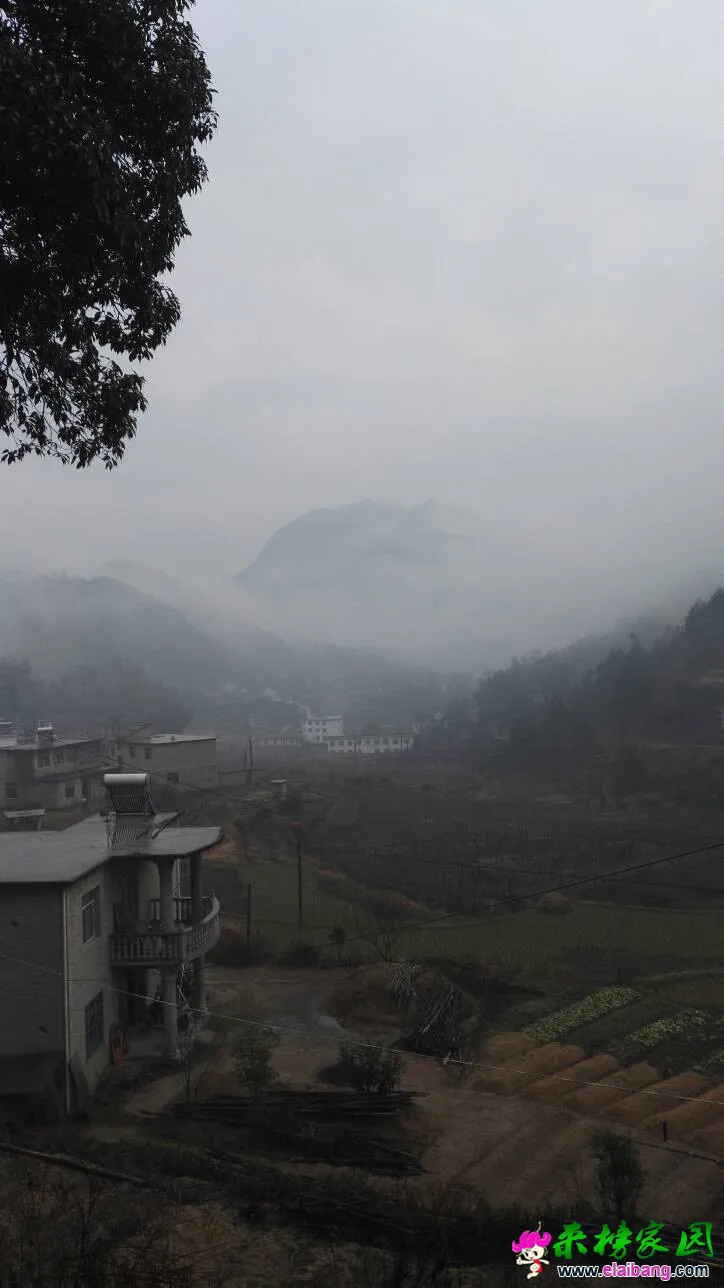 103417iy3s6o6kj7sjisei.webp