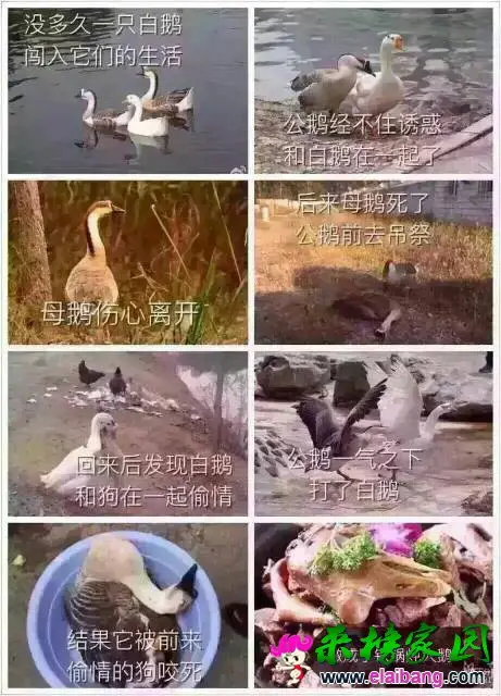 200043yj7xos4wdkszf4xw.webp