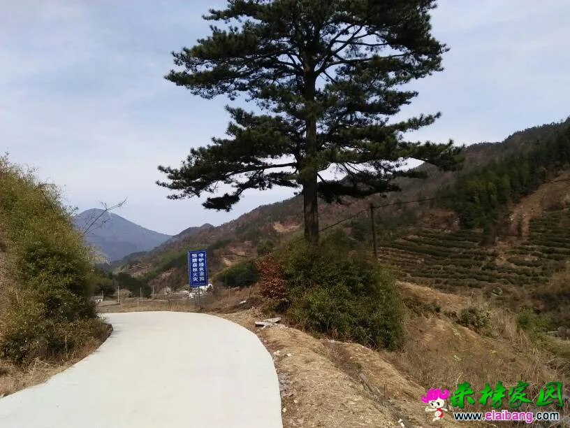 124651xc3nx31u00m0x3x2.webp