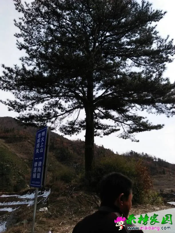 124652g3hkedodzad3aoa3.webp