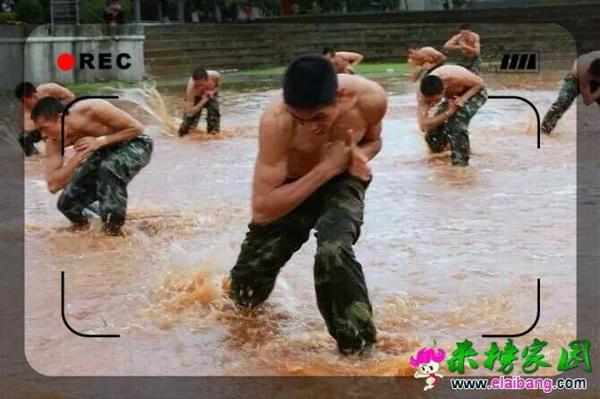 QQ图片20160222202329.webp