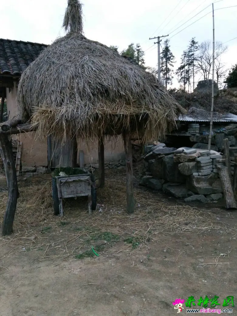 181336p65l1ga2hh9x54gh.webp