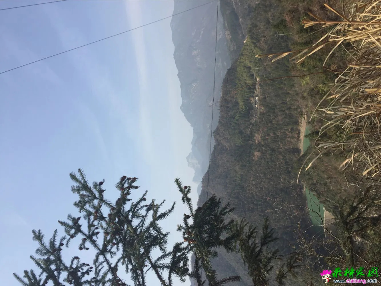 image.webp