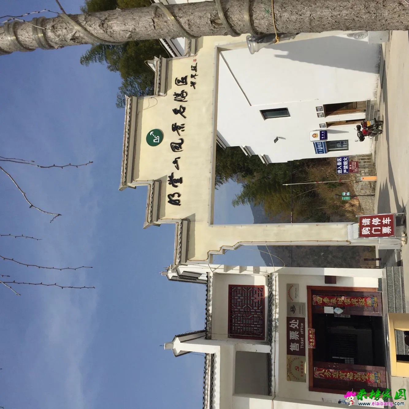 image.webp